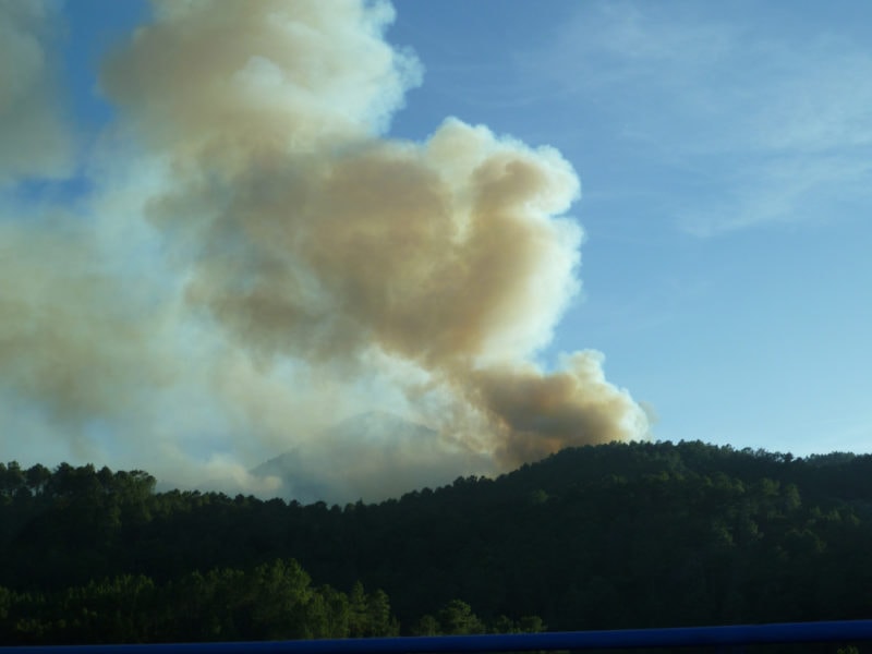 Natural Disasters