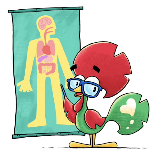 Body Parts 2