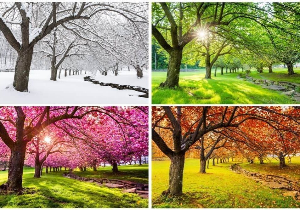 Seasons of the Year