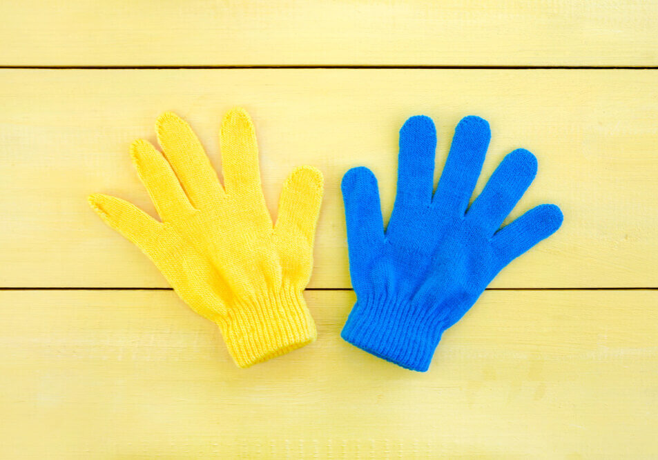 Portuguese minimal pairs