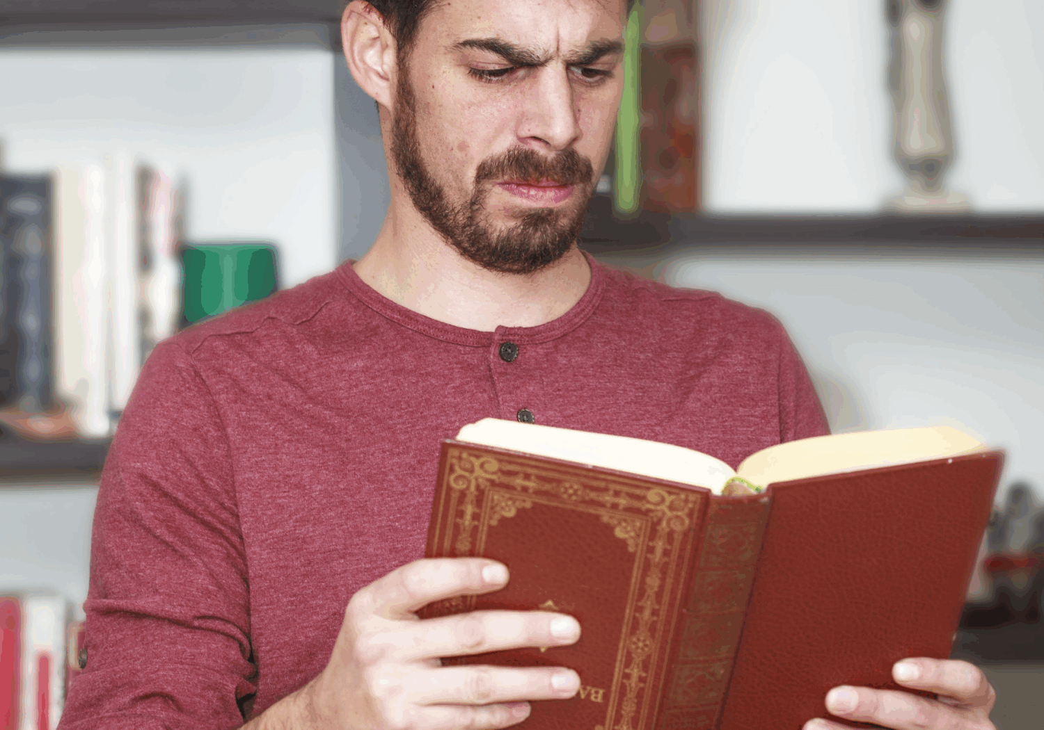 a-sinfonia-dos-sapos