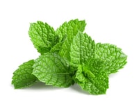 hortelã - mint - herbs and spices in portuguese cooking