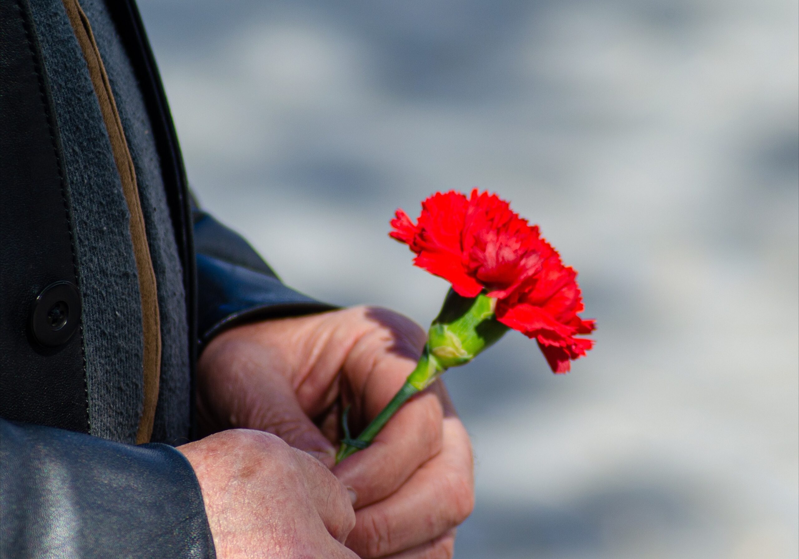 close up of a man's hand with a carnation