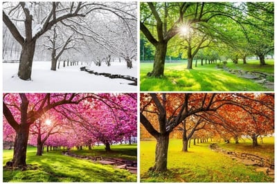 Seasons of the Year