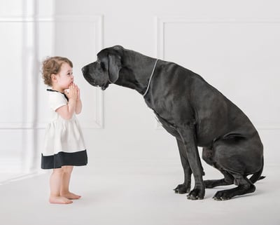 big-dog-kid