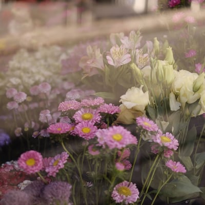 no-florista-em-lisboa