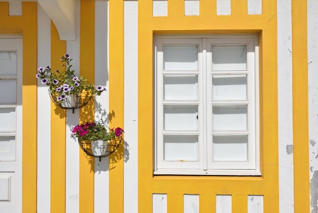 colours in Portuguese - yellow
