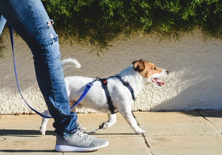 diario-de-uma-quarent-o-ena-iii