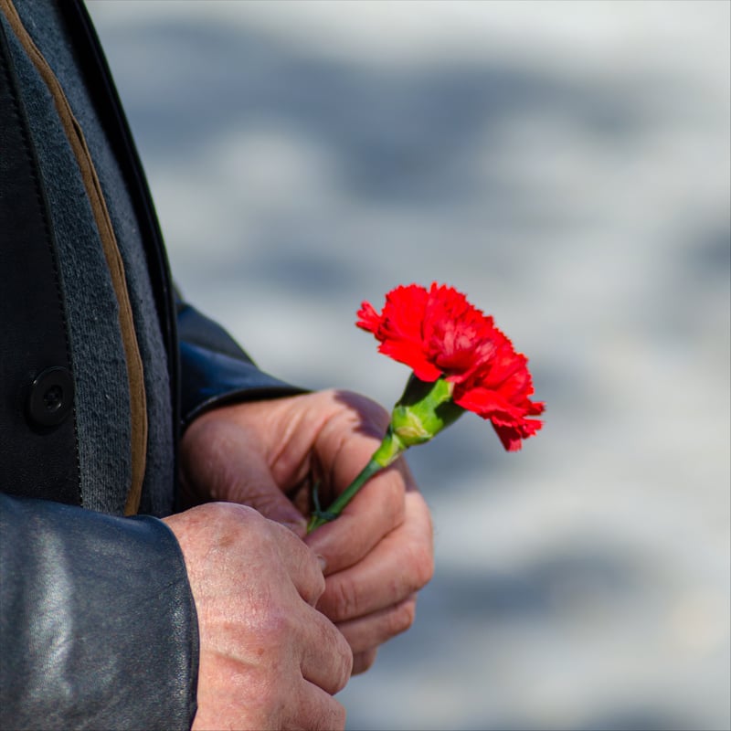 close up of a man's hand with a carnation