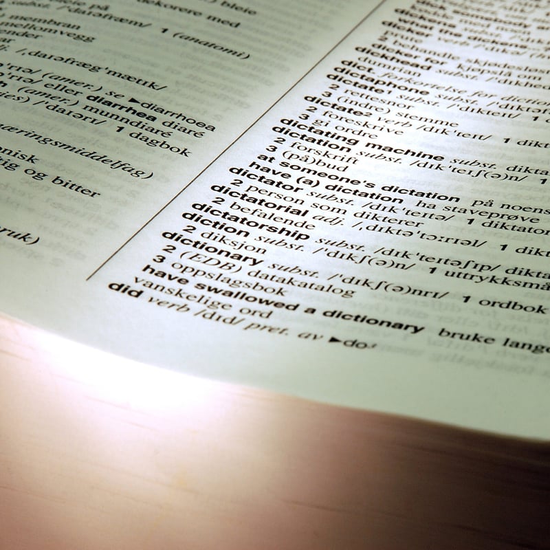 A close-up of an open English dictionary, with entries around the word "dictionary" and their translations.