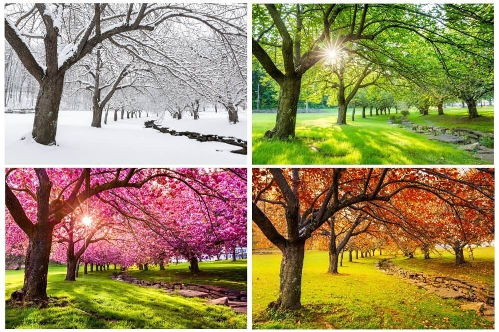 Seasonality - The Archaeology of Changing Seasons